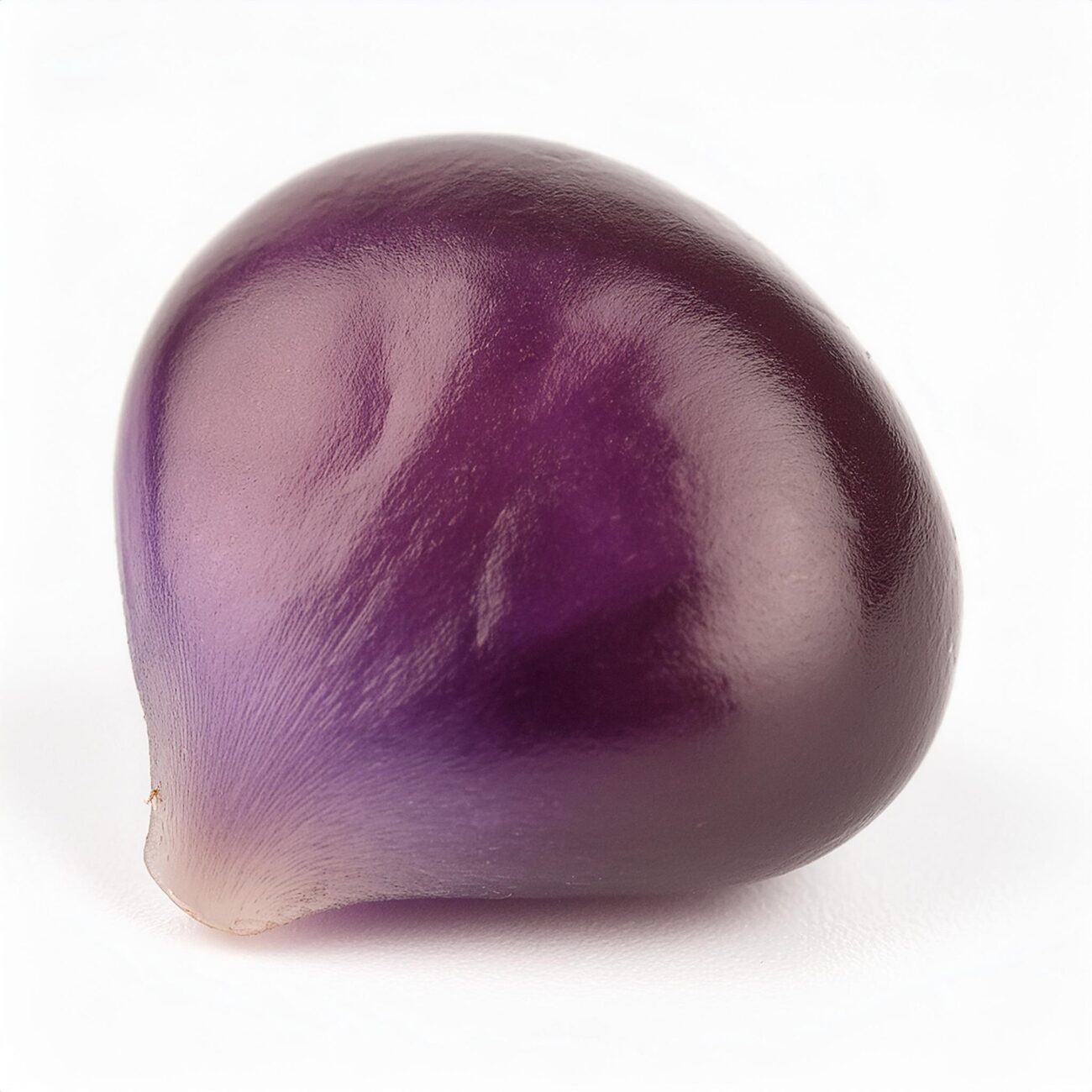 Red Cabbage Seed - Au Natural Organics