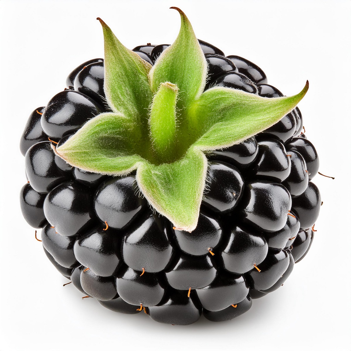 Black Raspberry - Au Natural Organics