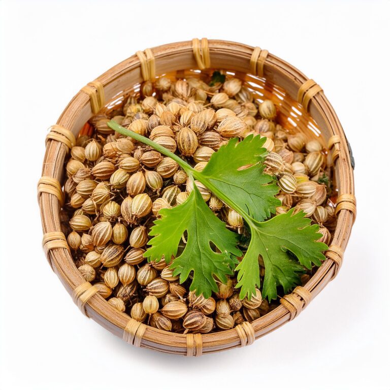 Coriander Seed 5 Coriander Seed