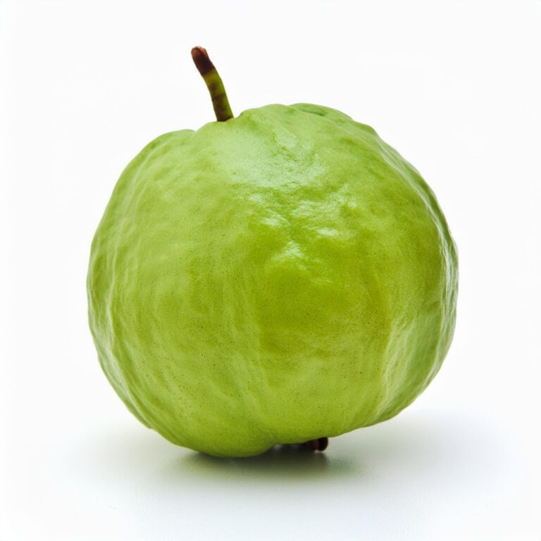 Guava 4 Guava