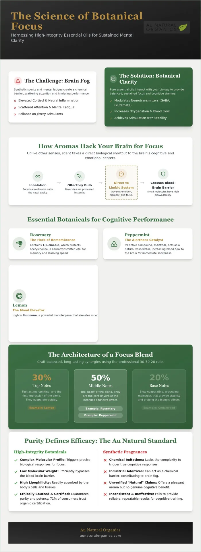 Essential Oil Blends for Focus: A Professional Guide