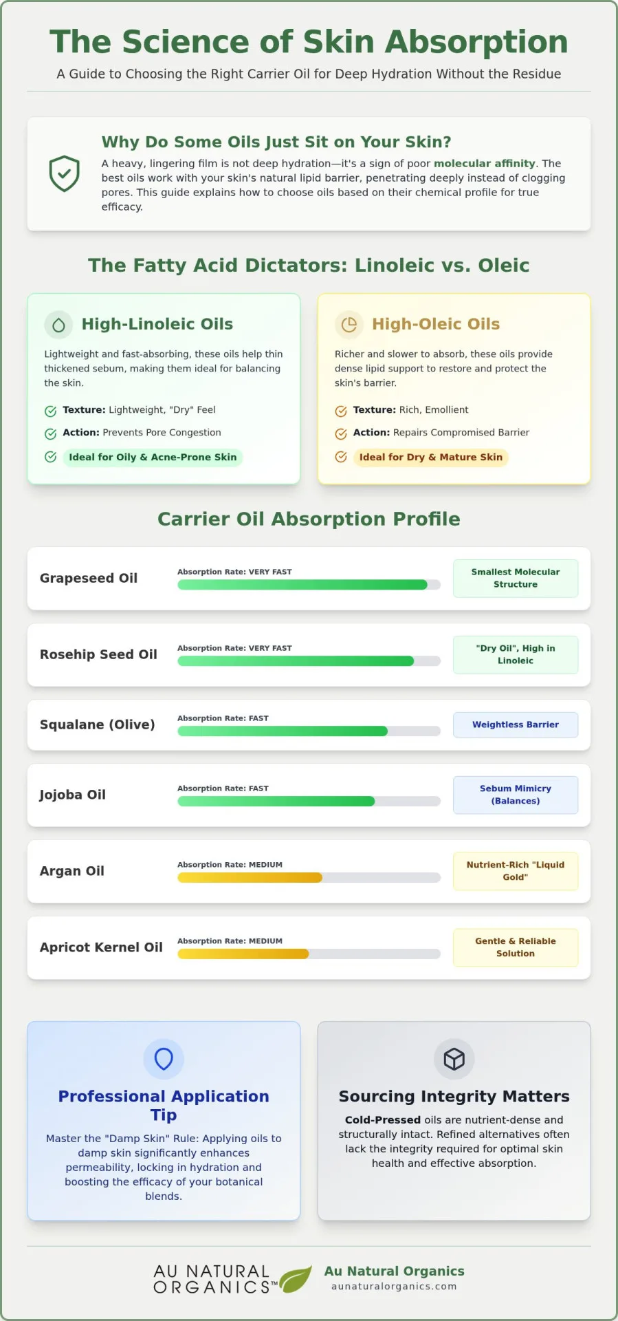 Best Carrier Oils For Skin Absorption: A Professional Botanical Reference