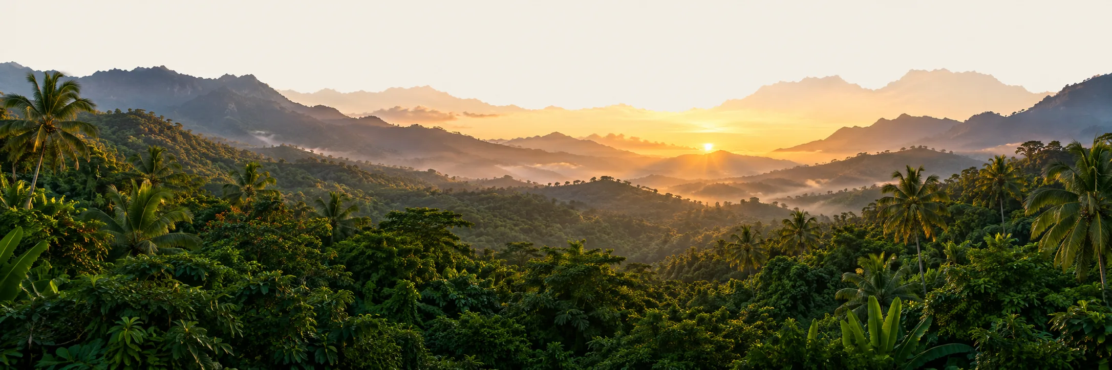 About Us — More Than Nature - Au Natural Organics