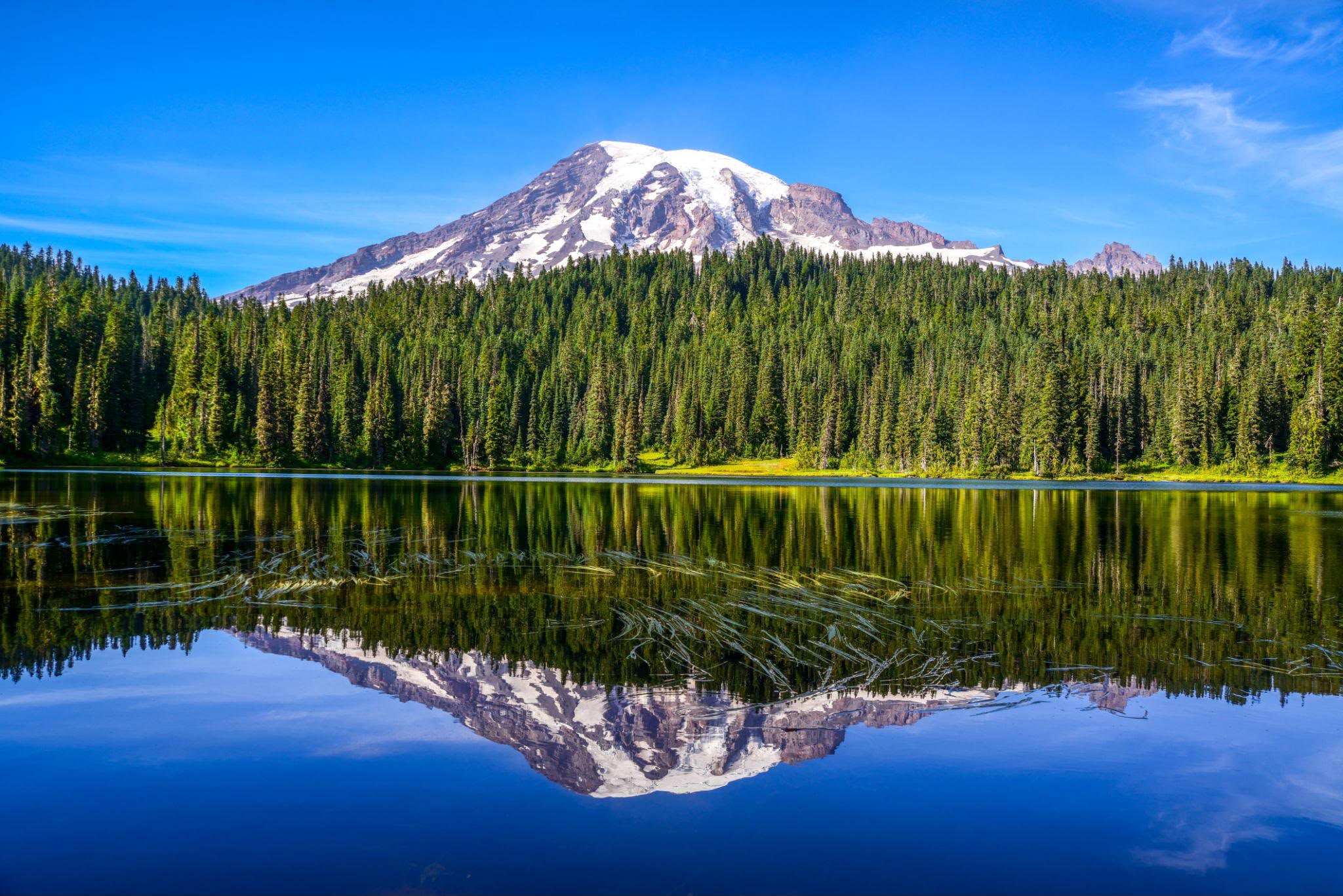Snow-capped mountain, evergreen forest and lake reflection in the USA