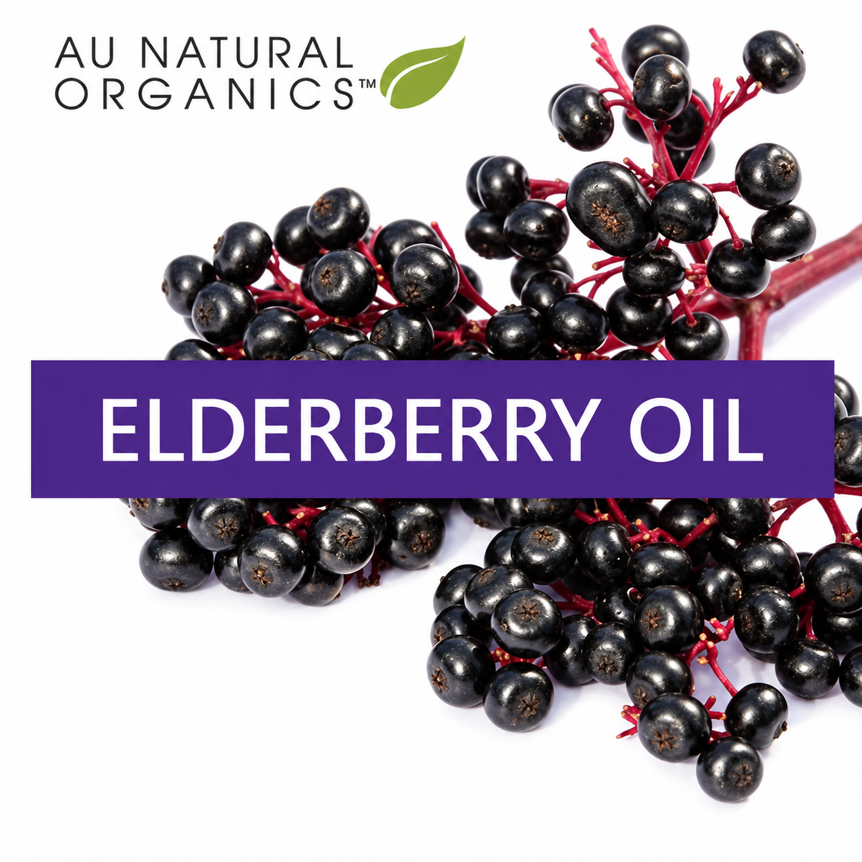 Elderberry Seed Oil – 1 Liter (32oz) 1 Elderberry Oil label with black elderberries by Au Natural Organics